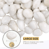 38lbS Large White River Rocks 2-3 Inch - Natural Polished Pebbles for Landscaping, Garden Decor, Aquariums, Decorative Stones for Pathways, Planters