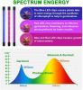 Indoor Gardening Table Planting Timer Grow LED Light